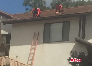 High Quality Roof Maintenance